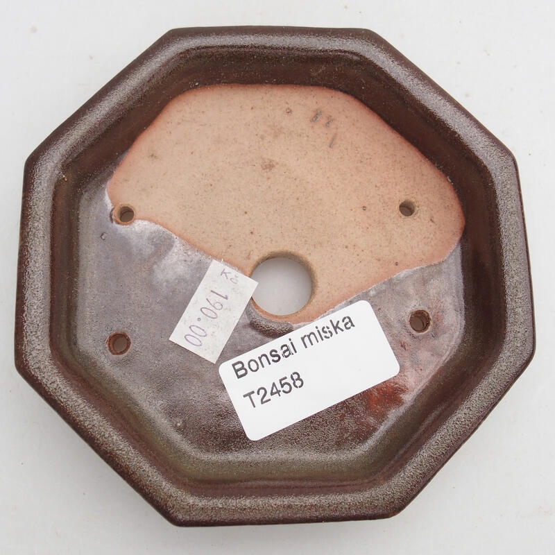 Cuenco bonsái de cerámica 12 x 11,5 x 2 cm, marrón