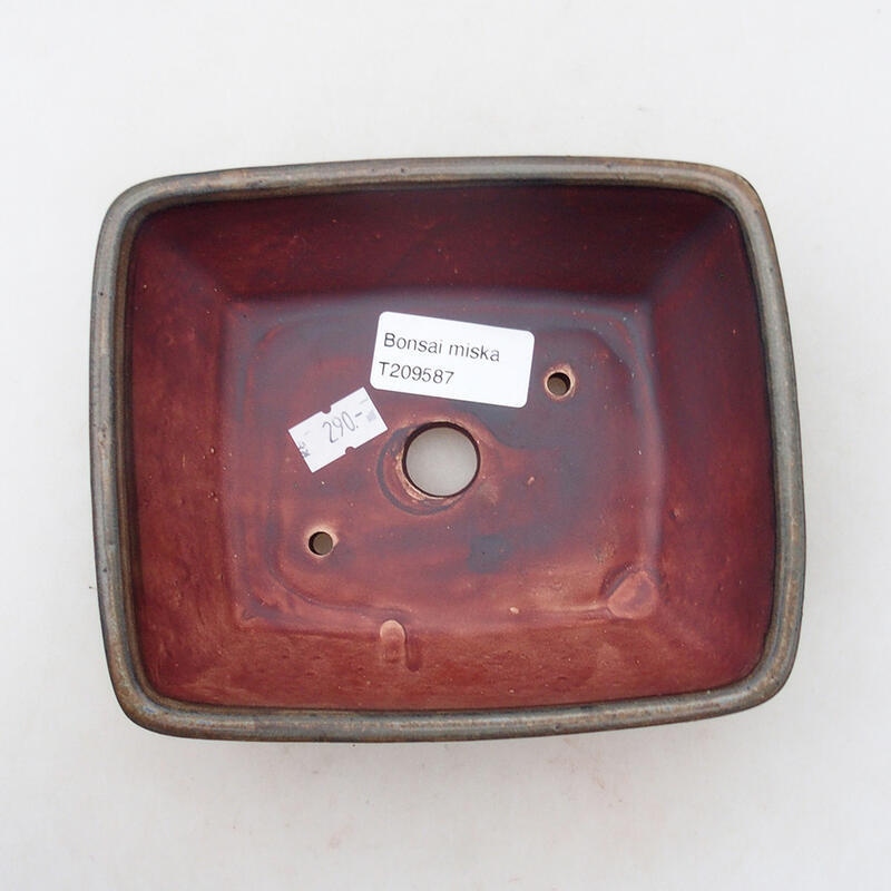 Cuenco bonsái de cerámica 12 x 15 x 6 cm, marrón