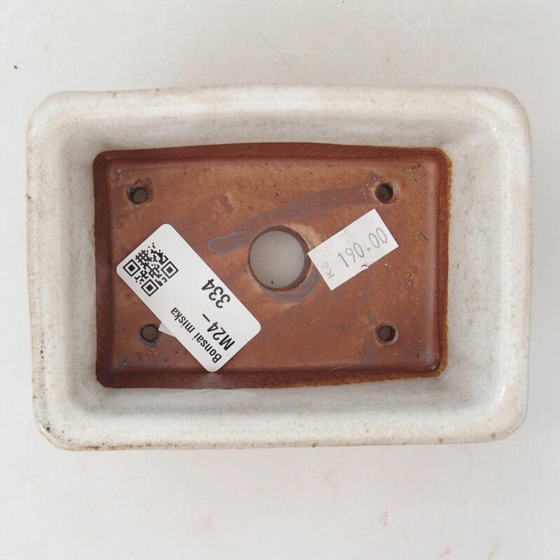 Cuenco bonsái de cerámica 12 x 8,5 x 4,5 cm, blanco