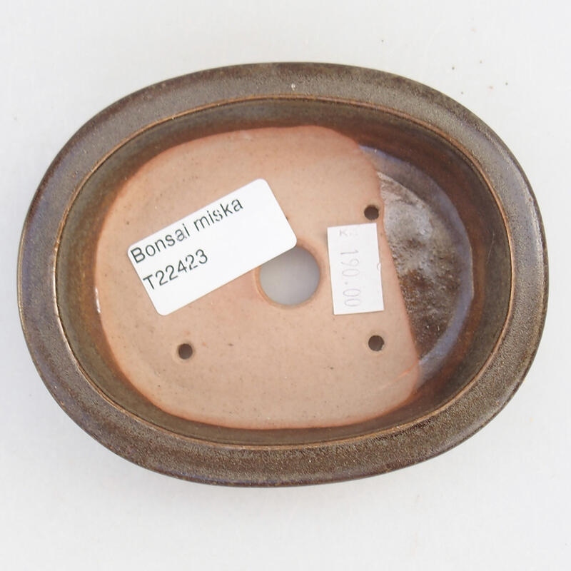 Cuenco bonsái de cerámica 12 x 9,5 x 3 cm, marrón