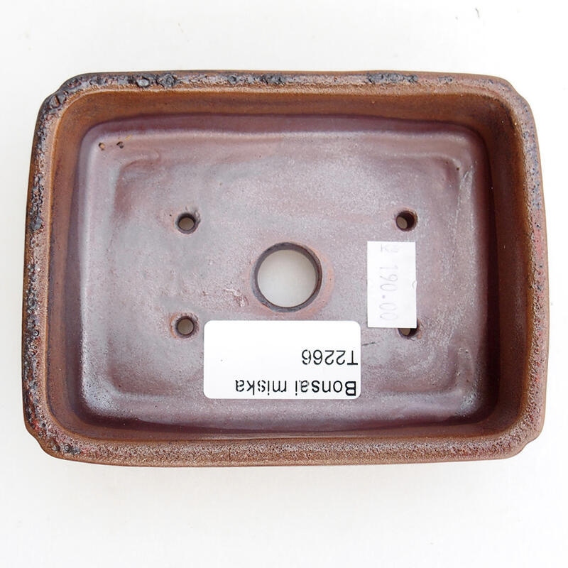 Cuenco bonsái de cerámica 12 x 9 x 3,5 cm, marrón