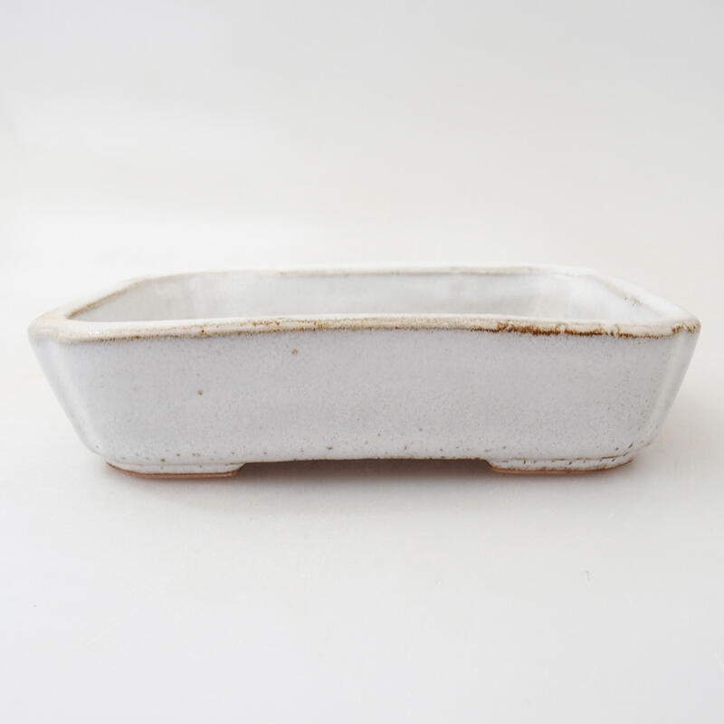 Cuenco bonsái de cerámica 12 x 9 x 3 cm, blanco