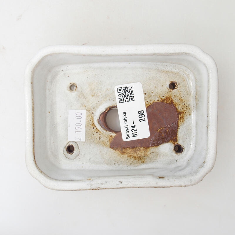 Cuenco bonsái de cerámica 12 x 9 x 3 cm, blanco
