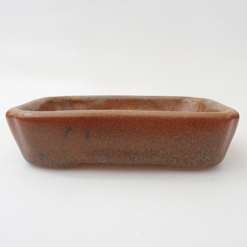 Cuenco bonsái de cerámica 12 x 9 x 3 cm, marrón