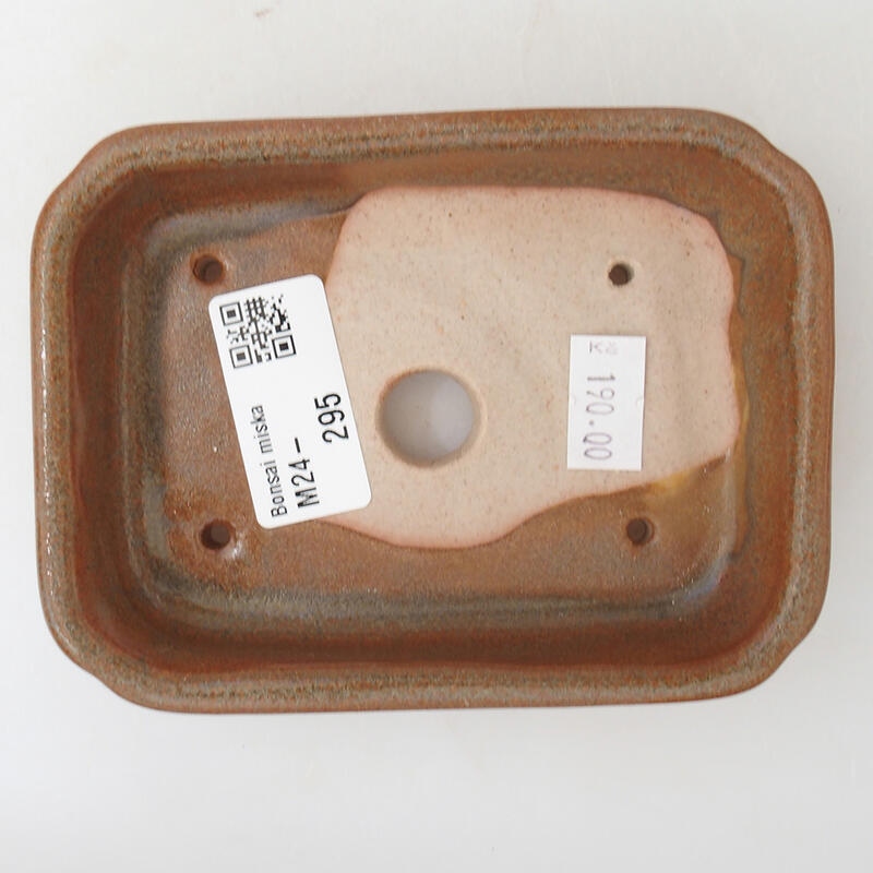 Cuenco bonsái de cerámica 12 x 9 x 3 cm, marrón