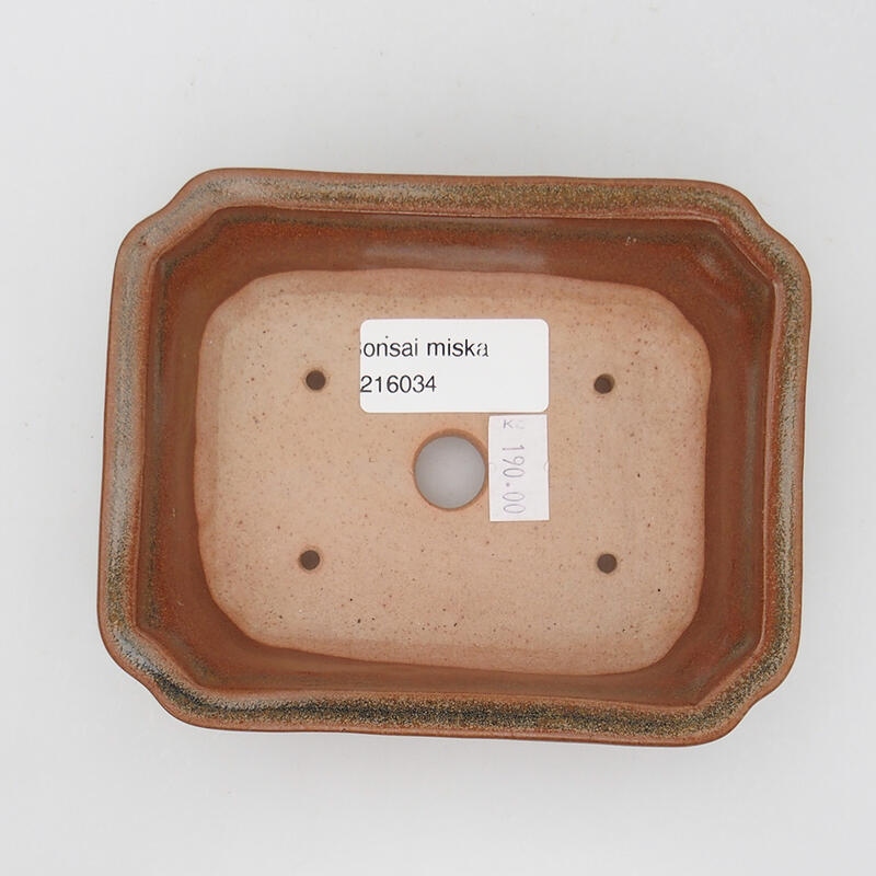 Cuenco bonsái de cerámica 13,5 x 10,5 x 3,5 cm, marrón