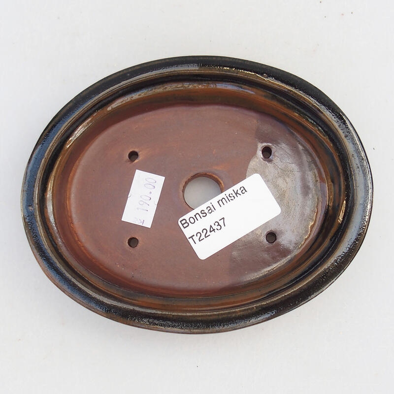 Cuenco bonsái de cerámica 13,5 x 10,5 x 3 cm, negro-marrón