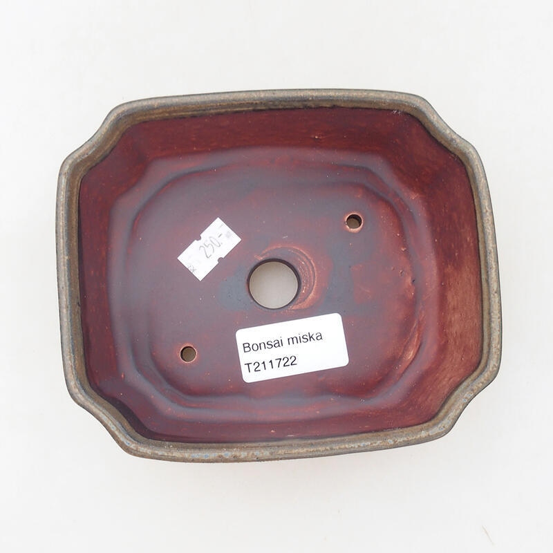 Cuenco bonsái de cerámica 13,5 x 11,5 x 4,5 cm, marrón