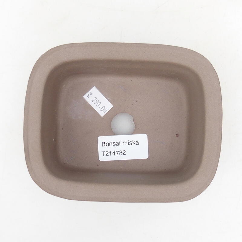 Cuenco bonsái de cerámica 13,5 x 11 x 5,5 cm, color negro