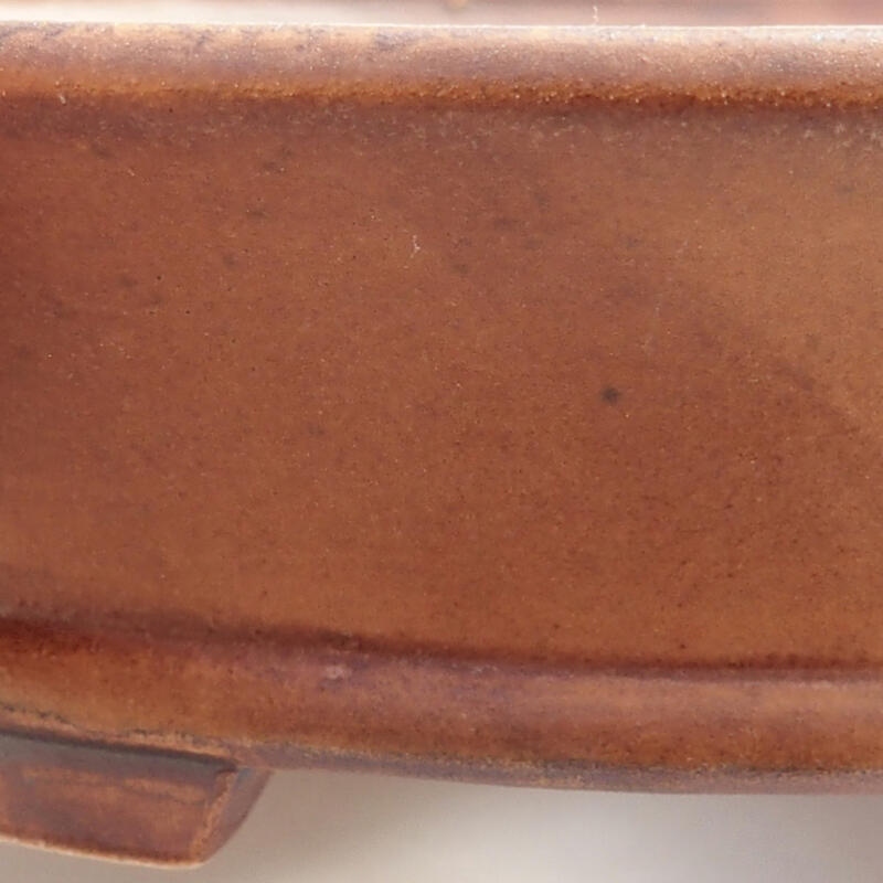 Cuenco bonsái de cerámica 13,5 x 12 x 4 cm, marrón