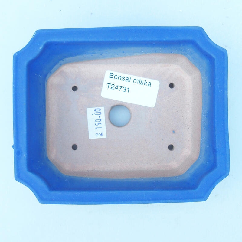 Cuenco bonsái de cerámica 13 x 10,5 x 4 cm, color azul