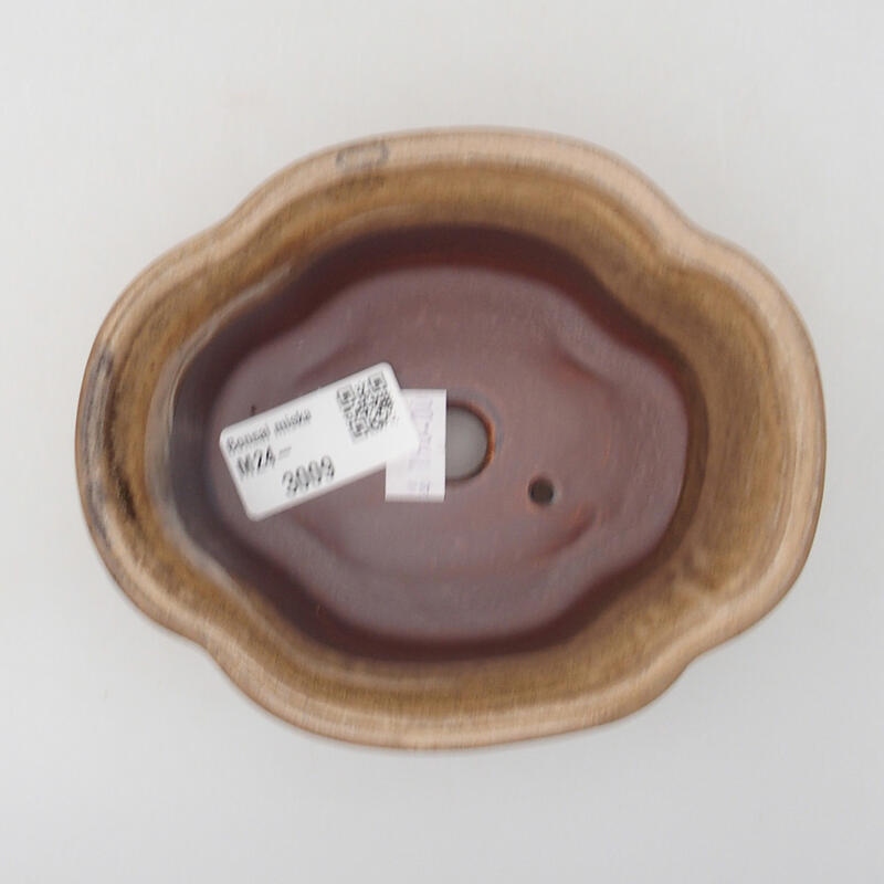 Cuenco bonsái de cerámica 13 x 10,5 x 5,5 cm, marrón