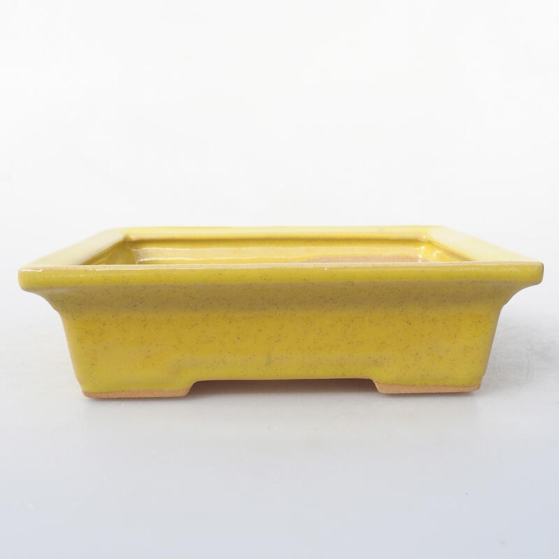 Cuenco bonsái de cerámica 13 x 10 x 3,5 cm, amarillo
