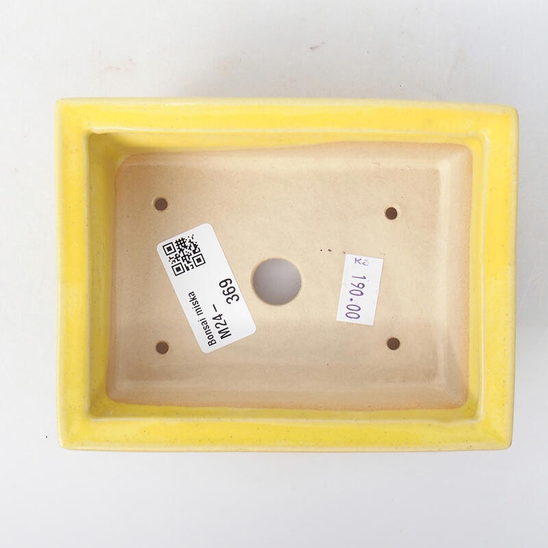 Cuenco bonsái de cerámica 13 x 10 x 3,5 cm, amarillo