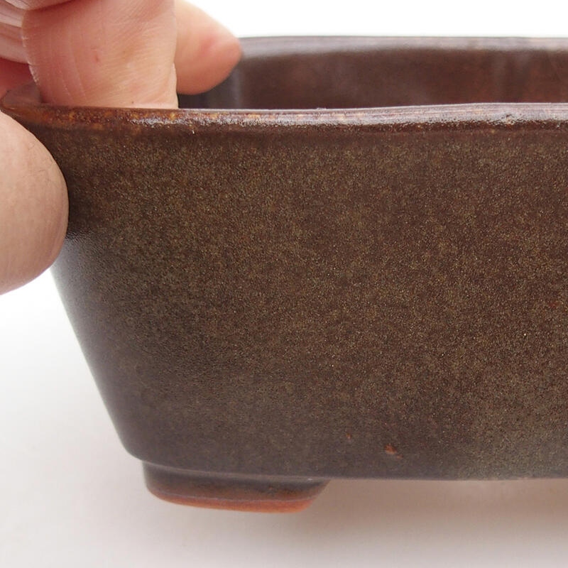 Cuenco bonsái de cerámica 13 x 10 x 5,5 cm, marrón