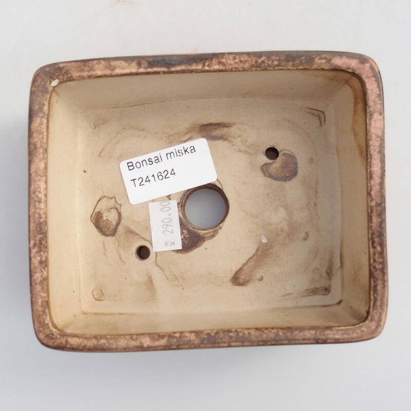 Cuenco bonsái de cerámica 13 x 11 x 5 cm, rosa