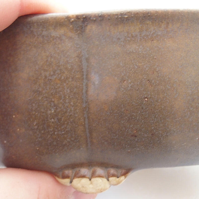 Cuenco bonsái de cerámica 13 x 12 x 5 cm, marrón