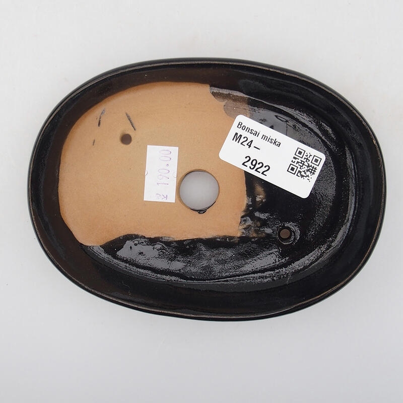 Cuenco bonsái de cerámica 13 x 9,5 x 2,5 cm, negro