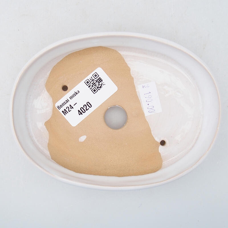 Cuenco bonsái de cerámica 13 x 9,5 x 3 cm, blanco