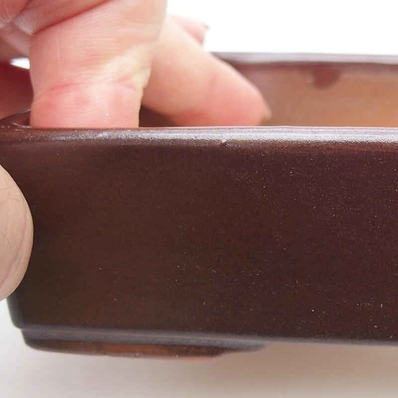 Cuenco bonsái de cerámica 13 x 9,5 x 3 cm, marrón