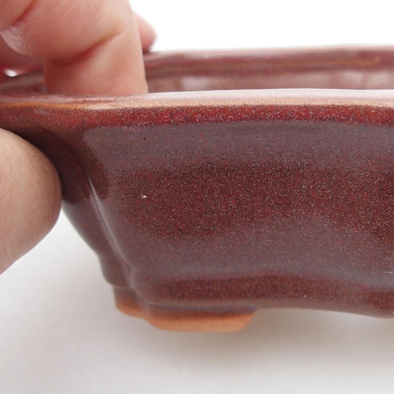 Cuenco bonsái de cerámica 14 x 10 x 4 cm, rosa