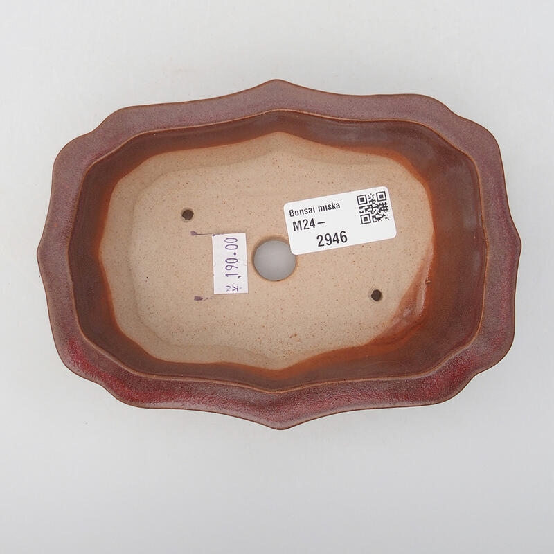 Cuenco bonsái de cerámica 14 x 10 x 4 cm, rosa