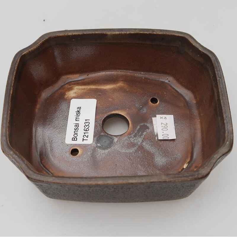 Cuenco bonsái de cerámica 14 x 11,5 x 4,5 cm, marrón