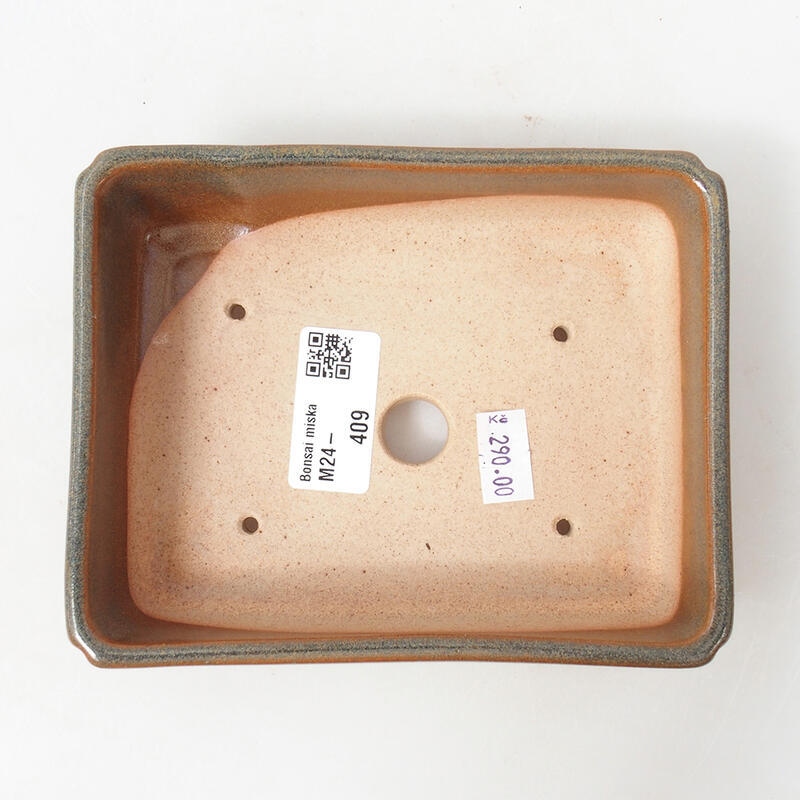 Cuenco bonsái de cerámica 14 x 11 x 4 cm, marrón