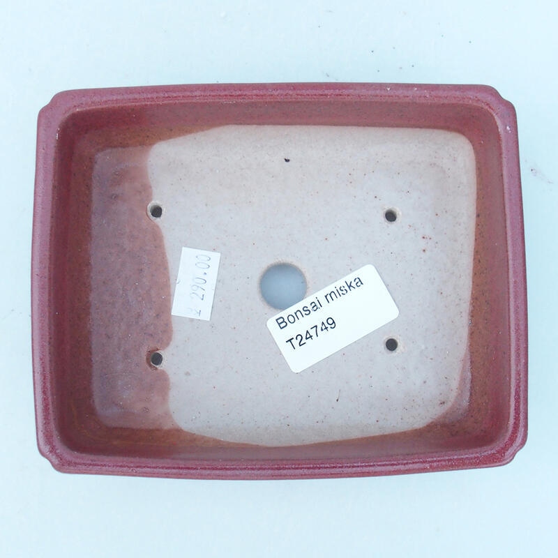 Cuenco bonsái de cerámica 14 x 11 x 4 cm, rosa