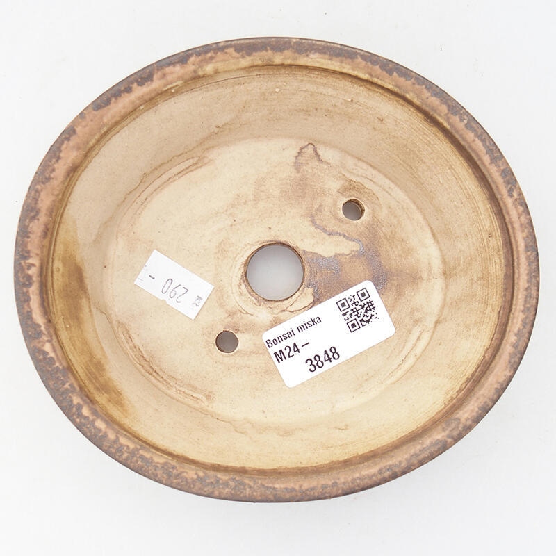 Cuenco bonsái de cerámica 14 x 12,5 x 4 cm, rosa