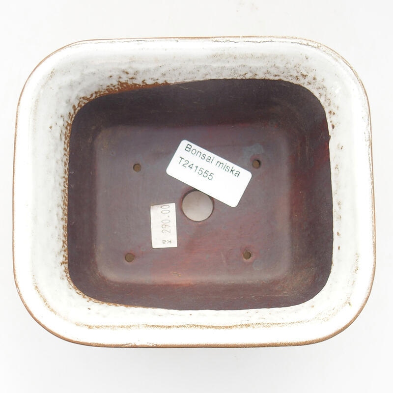 Cuenco bonsái de cerámica 14 x 12,5 x 7 cm, color blanco