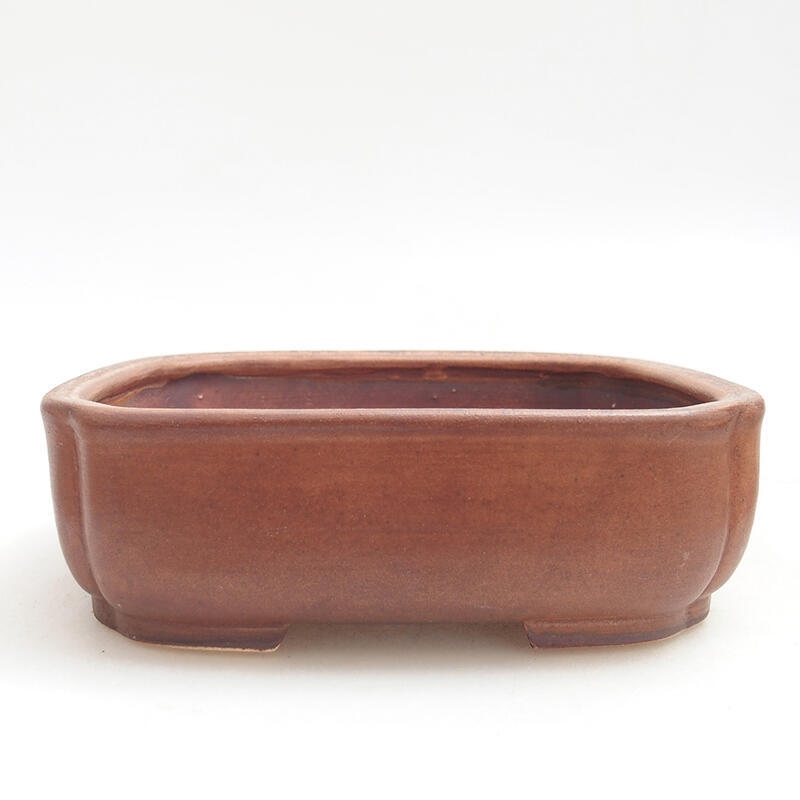 Cuenco bonsái de cerámica 14 x 12 x 4 cm, marrón