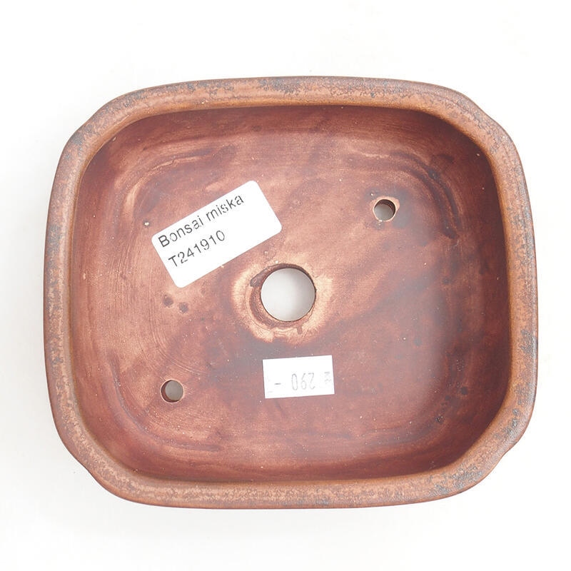 Cuenco bonsái de cerámica 14 x 12 x 4 cm, marrón