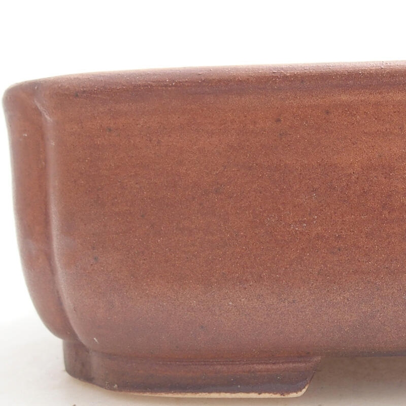 Cuenco bonsái de cerámica 14 x 12 x 4 cm, marrón