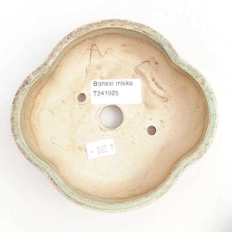 Cuenco bonsái de cerámica 14 x 13 x 5 cm, verde