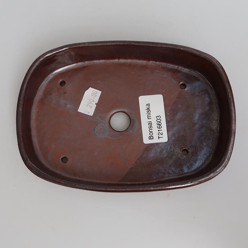 Cuenco bonsái de cerámica 15,5 x 11 x 3 cm, marrón