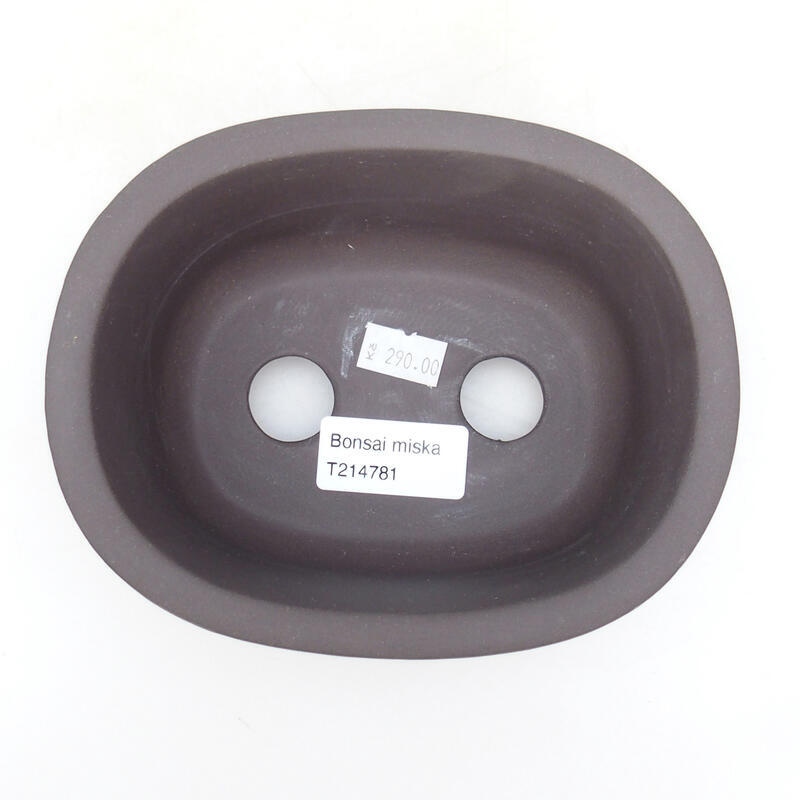 Cuenco bonsái de cerámica 15,5 x 12,5 x 7 cm, color negro