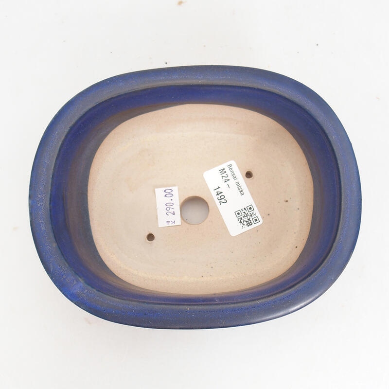 Cuenco bonsái de cerámica 15,5 x 12 x 6 cm, color azul