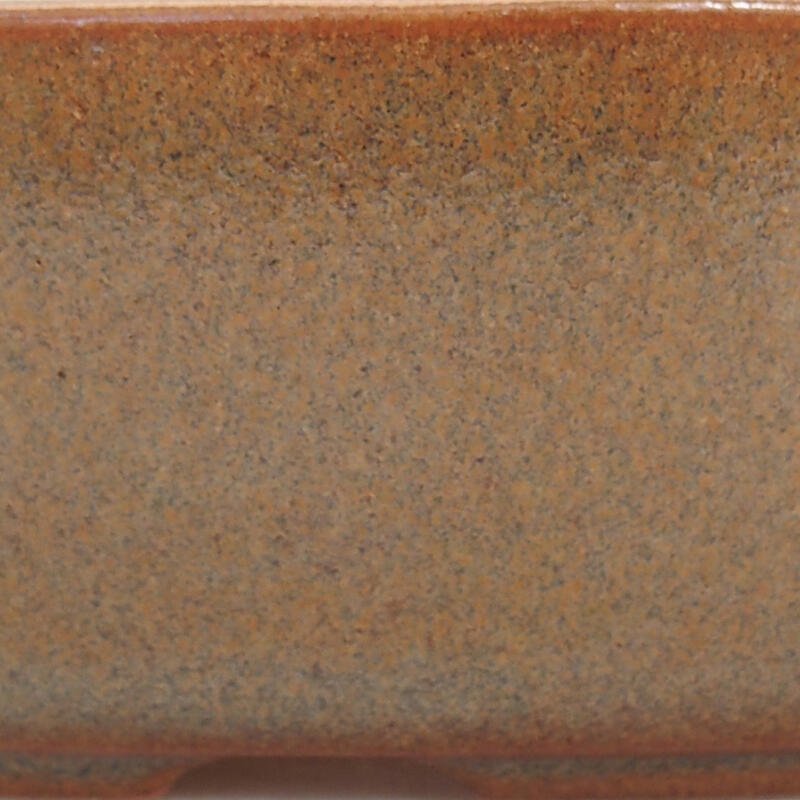 Cuenco bonsái de cerámica 15 x 10 x 4,5 cm, marrón