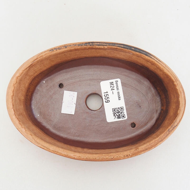 Cuenco bonsái de cerámica 15 x 10 x 4,5 cm, rosa