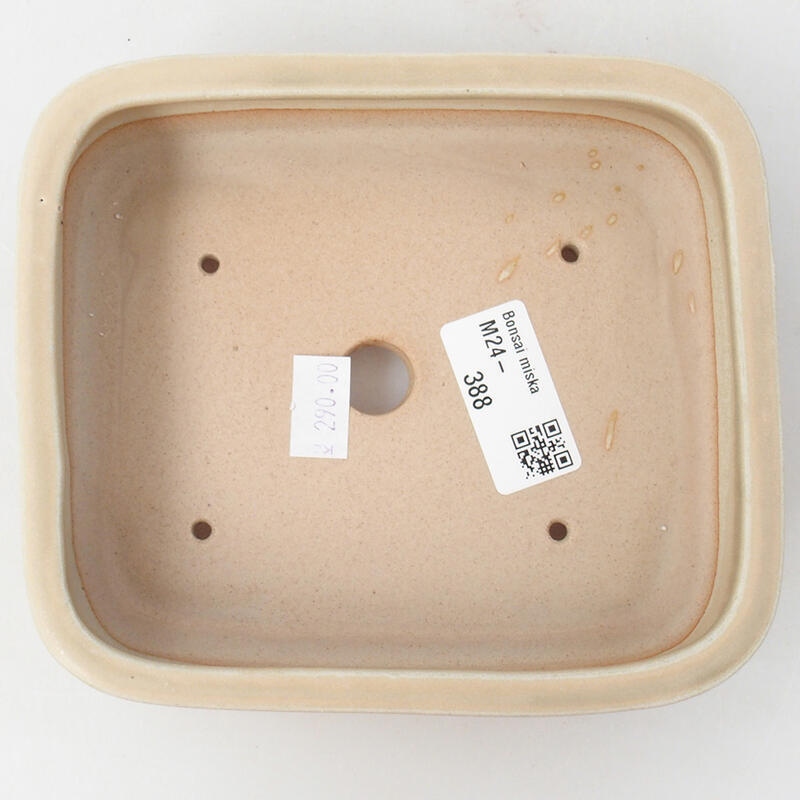 Cuenco bonsái de cerámica 15 x 12,5 x 4,5 cm, color beige