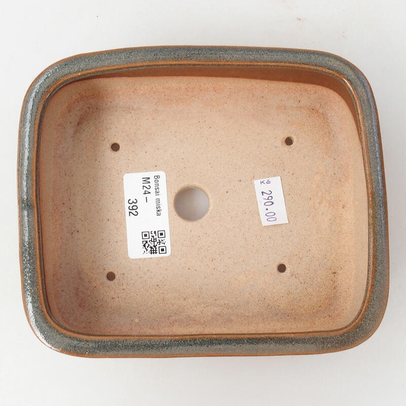 Cuenco bonsái de cerámica 15 x 12,5 x 4,5 cm, marrón