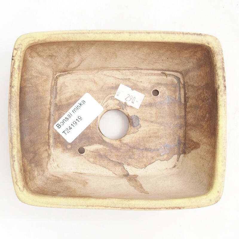 Cuenco bonsái de cerámica 15 x 12,5 x 5,5 cm, verde