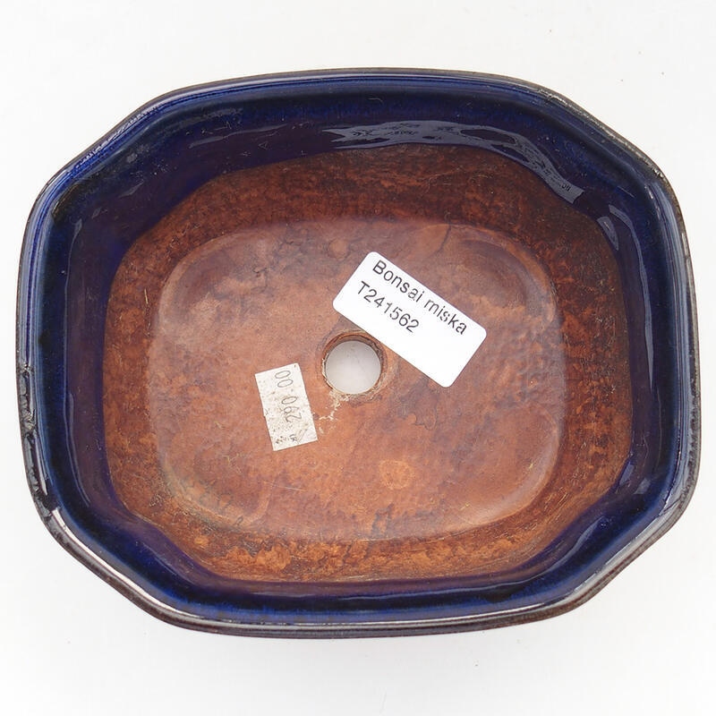 Cuenco bonsái de cerámica 15 x 12,5 x 6,5 cm, color azul