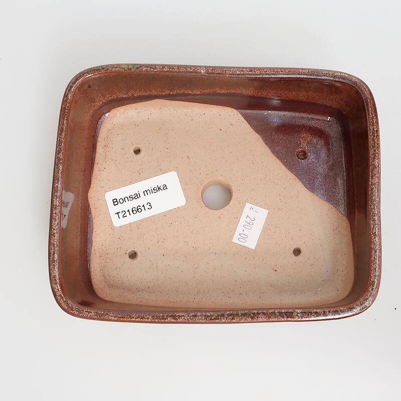 Cuenco bonsái de cerámica 15 x 12 x 4,5 cm, marrón