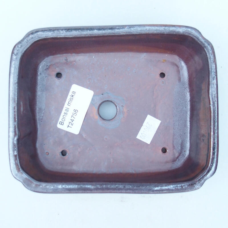 Cuenco bonsái de cerámica 15 x 12 x 4,5 cm, marrón