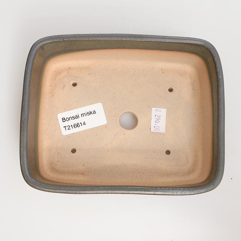 Cuenco bonsái de cerámica 15 x 12 x 4,5 cm, verde