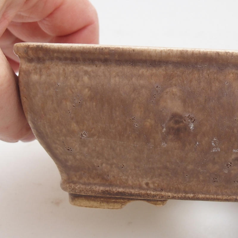 Cuenco bonsái de cerámica 15 x 12 x 5 cm, beige-marrón