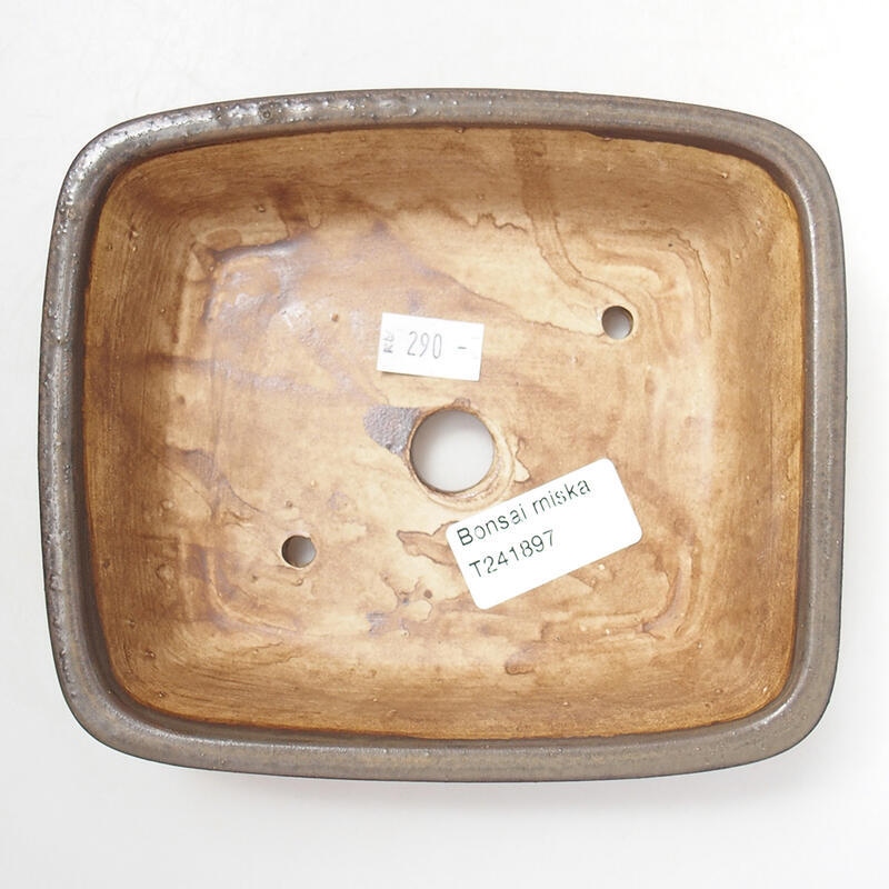 Cuenco bonsái de cerámica 15 x 13 x 5 cm, marrón