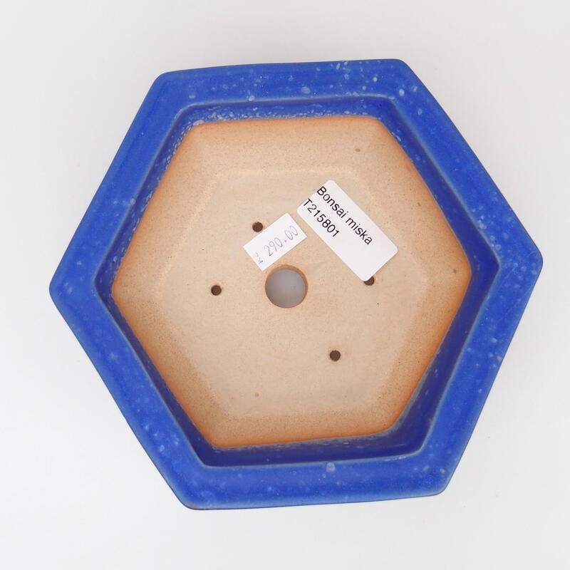 Cuenco bonsái de cerámica 15 x 14 x 5,5 cm, color azul